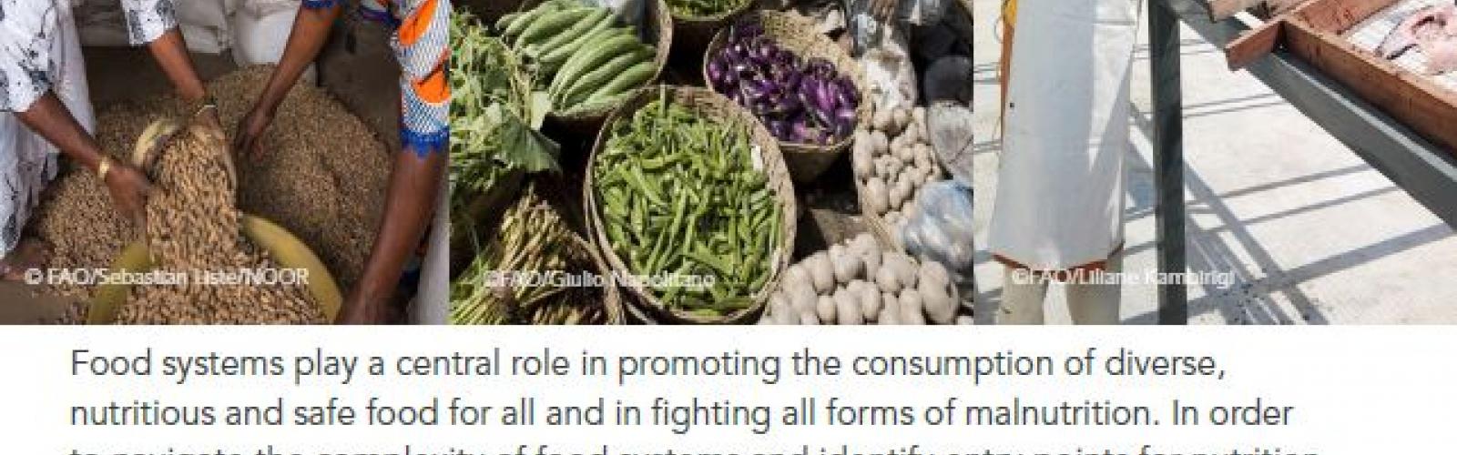 Sustainable Food Value Chains for Nutrition | Eval Forward